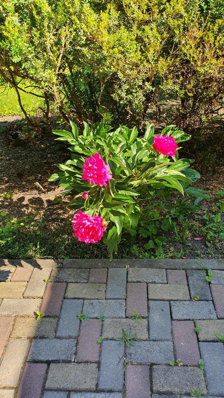 Гостиница Казахстан Ессентуки-196