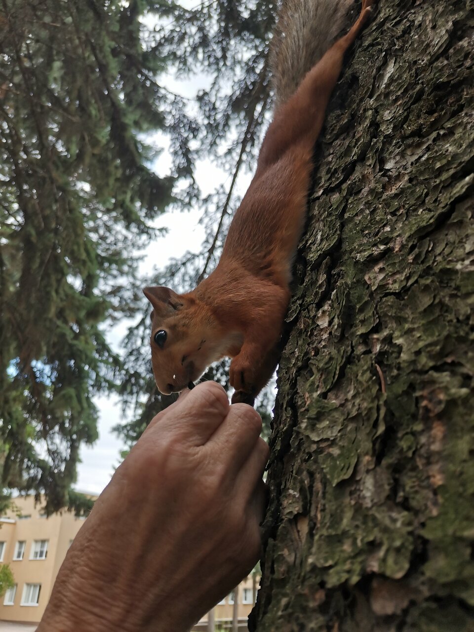 Гостиница Казахстан Ессентуки-225