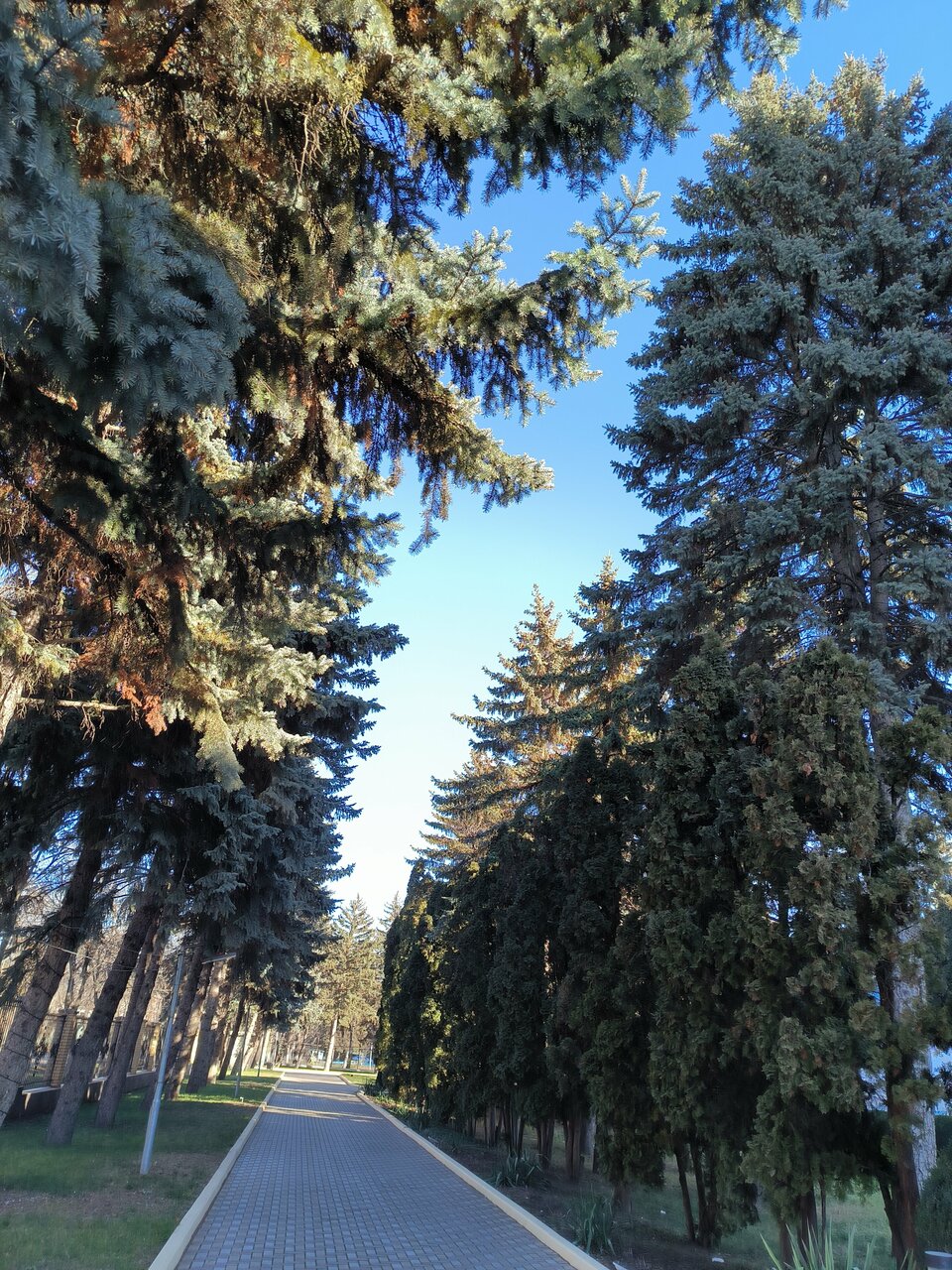 Гостиница Казахстан Ессентуки-234