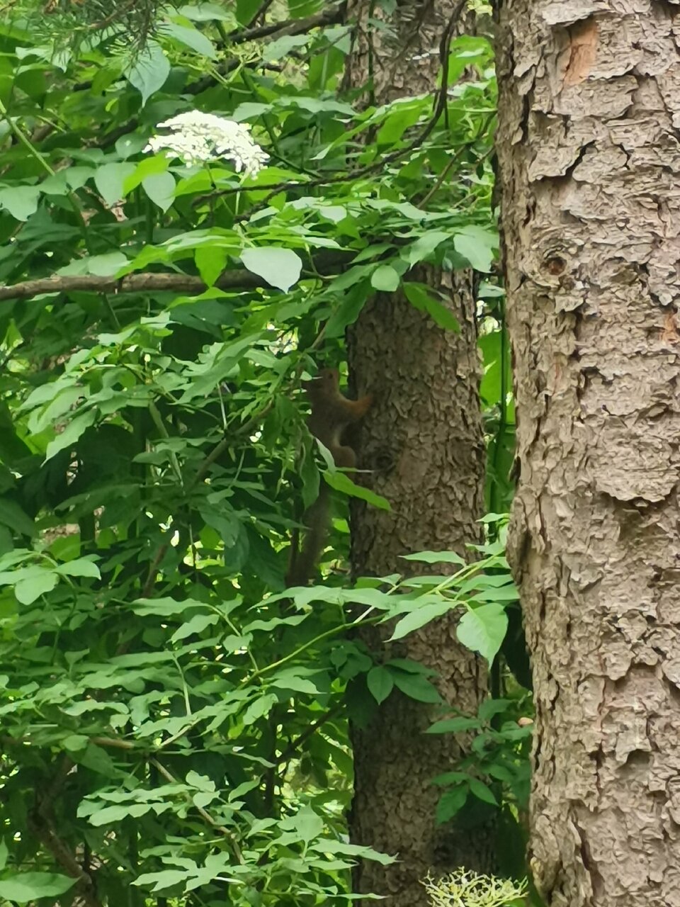 Гостиница Казахстан Ессентуки-217