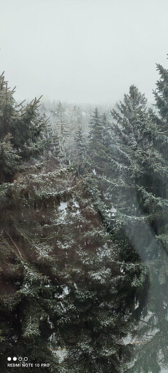 Гостиница Казахстан Ессентуки-242