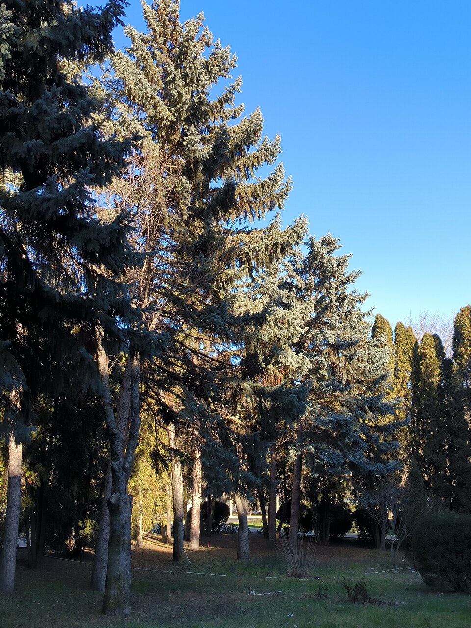 Гостиница Казахстан Ессентуки-226