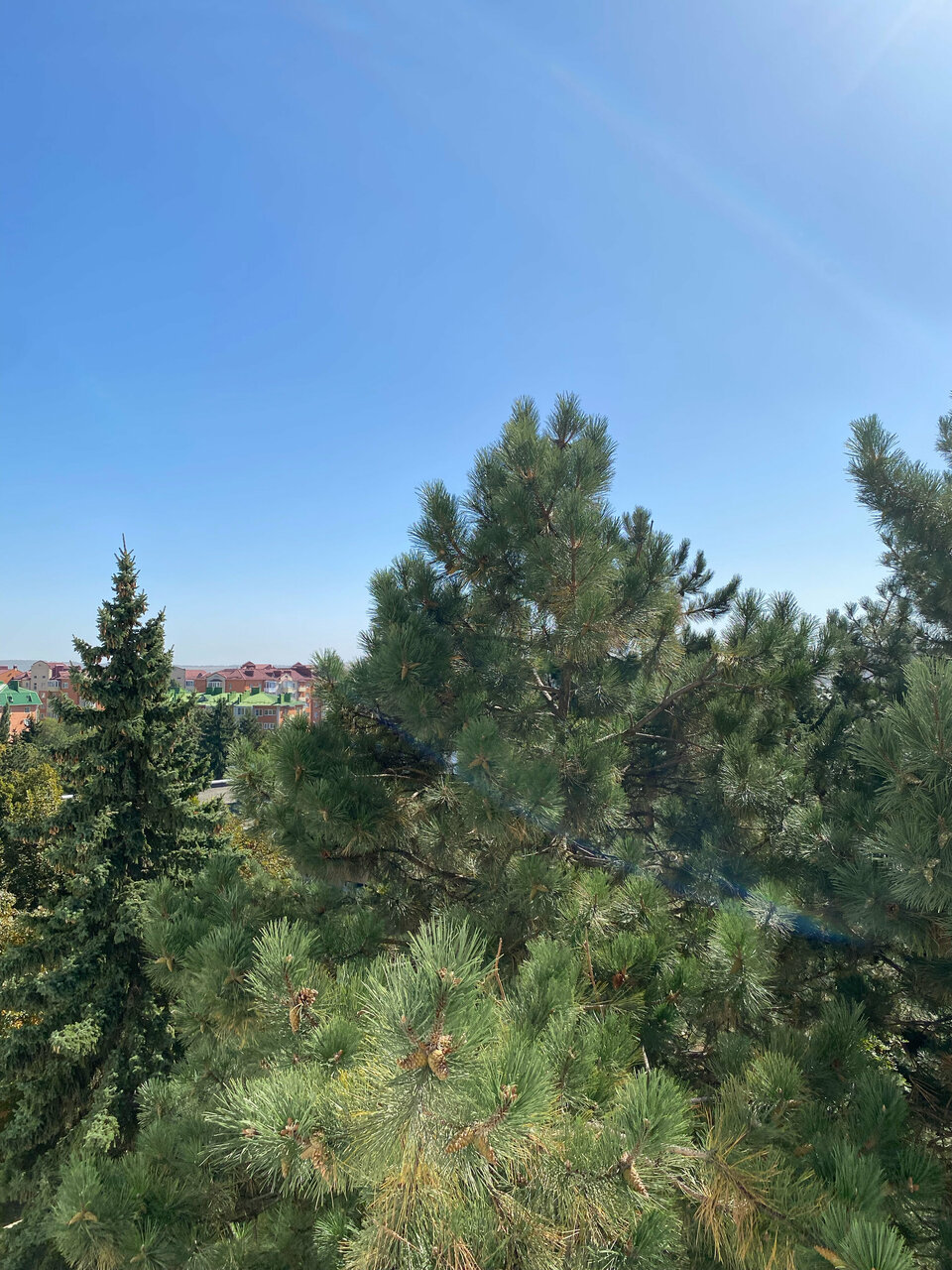 Гостиница Казахстан Ессентуки-238