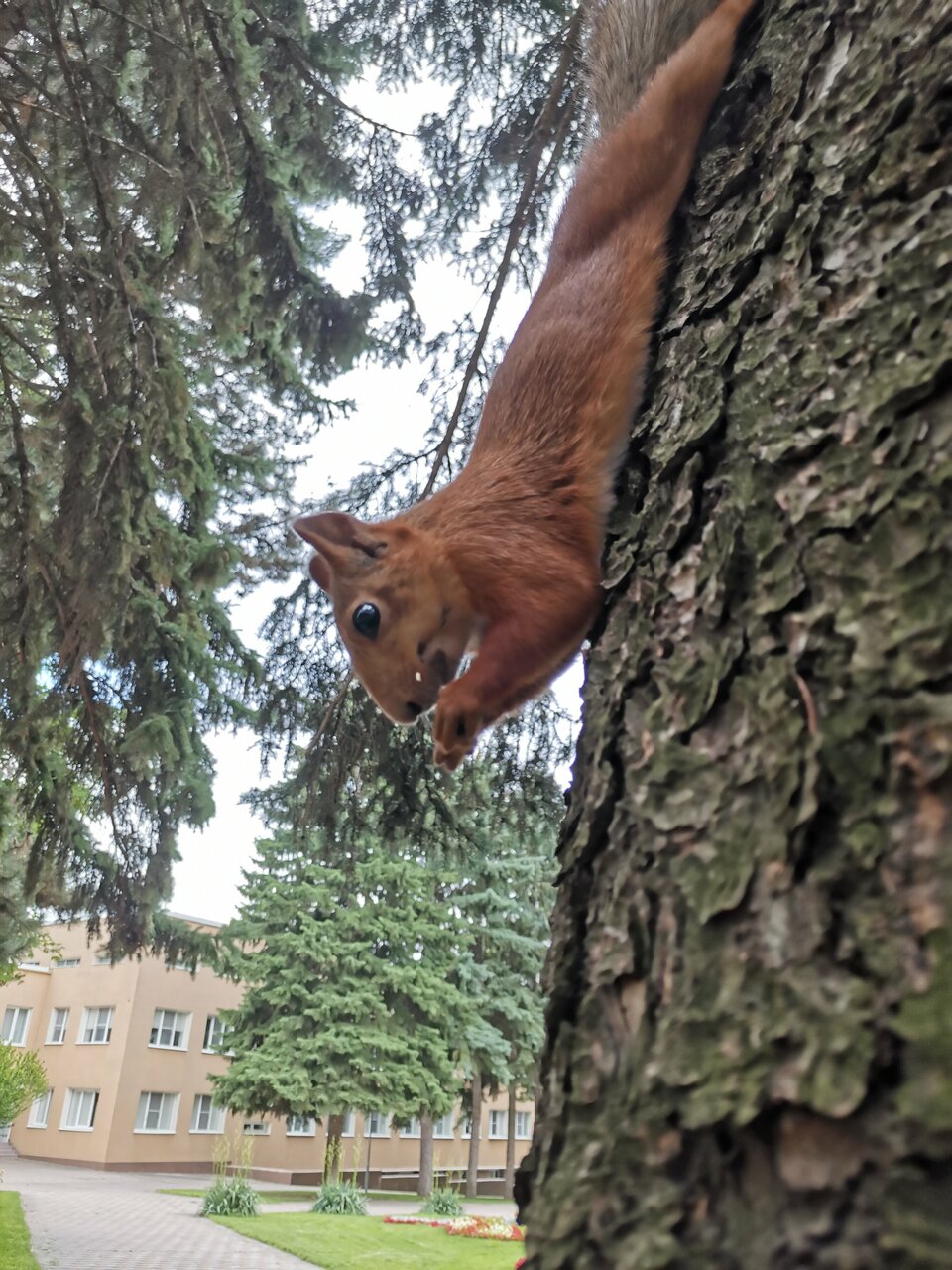 Гостиница Казахстан Ессентуки-208