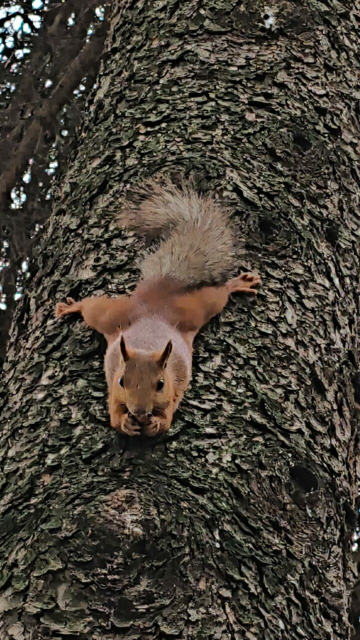 Гостиница Казахстан Ессентуки-197