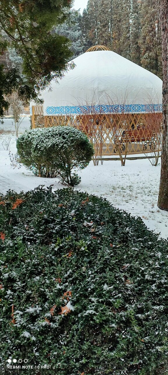 Гостиница Казахстан Ессентуки-203