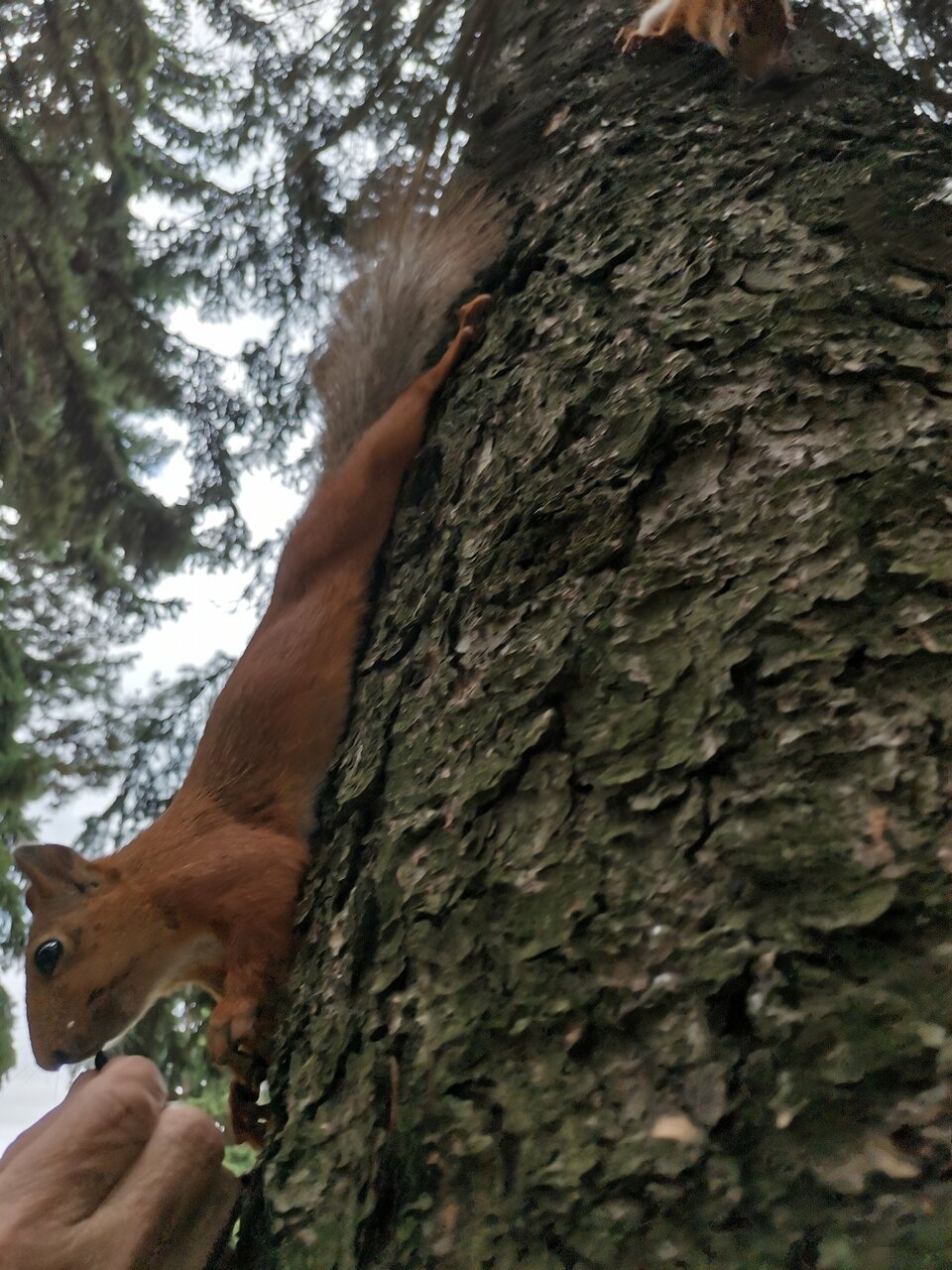 Гостиница Казахстан Ессентуки-249