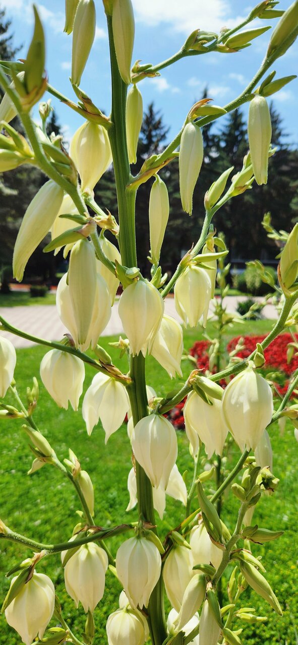 Гостиница Казахстан Ессентуки-191