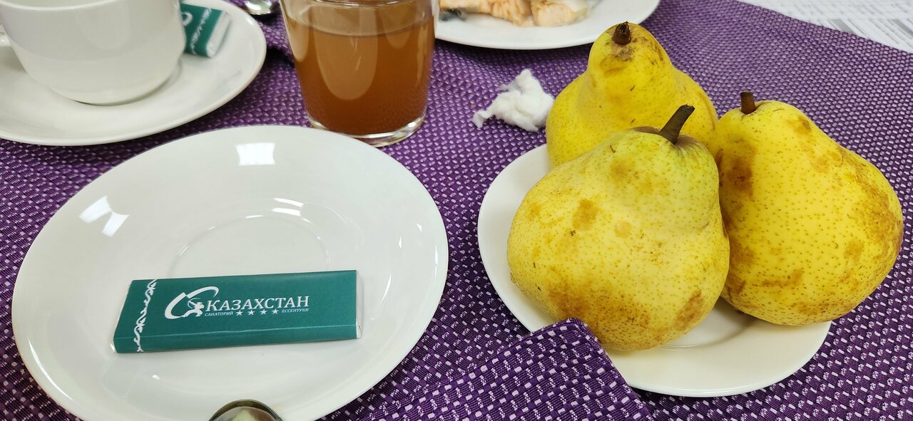 Гостиница Казахстан Ессентуки-207