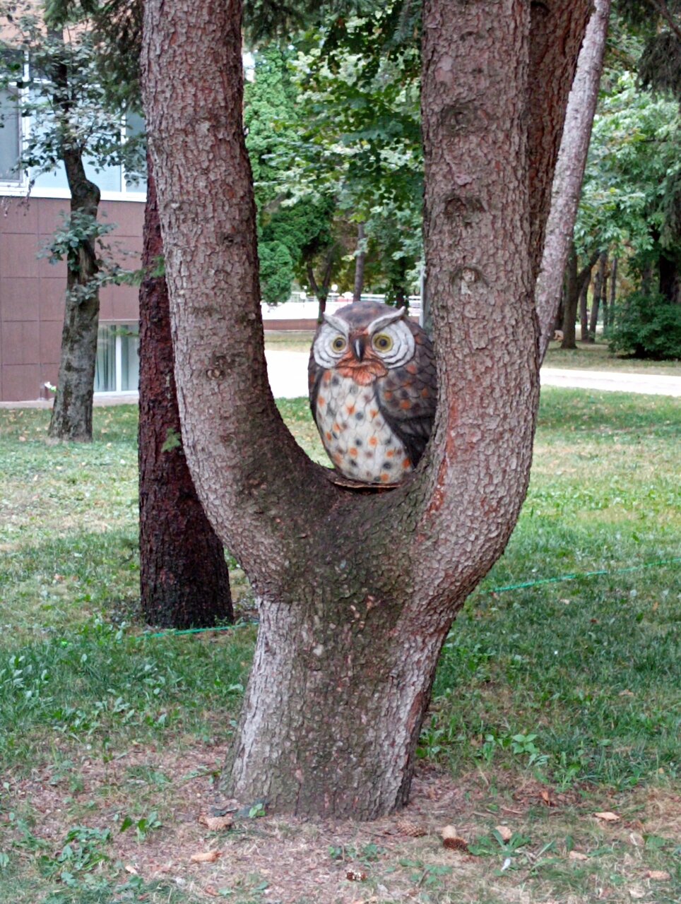 Гостиница Казахстан Ессентуки-181