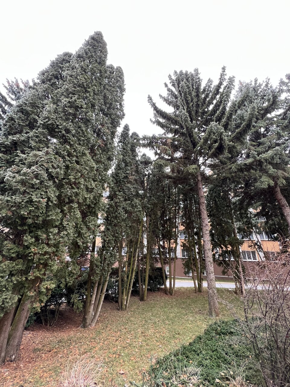 Гостиница Казахстан Ессентуки-40