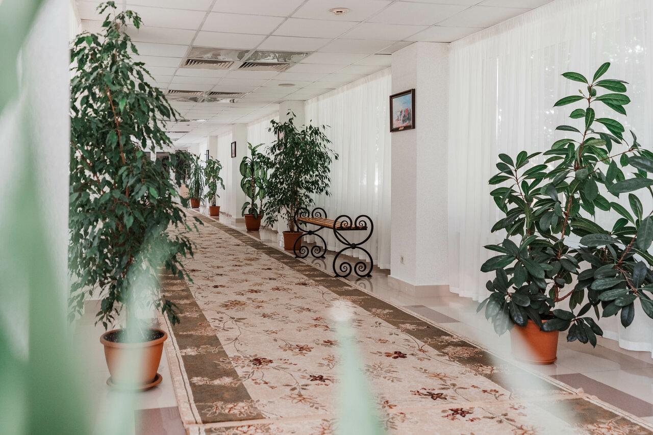 Гостиница Казахстан Ессентуки-51