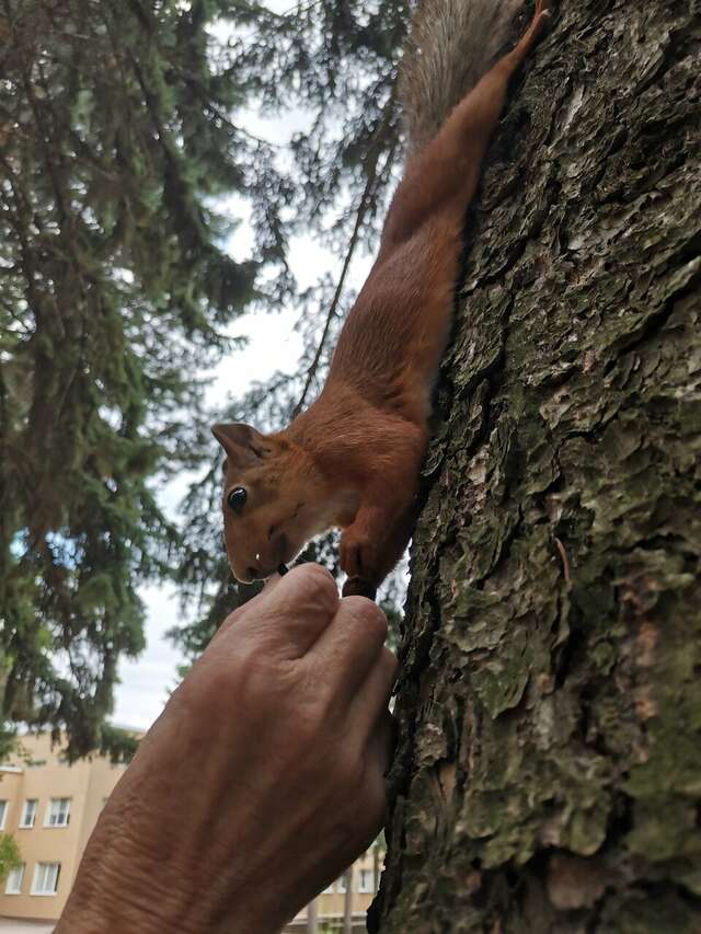 Гостиница Казахстан Ессентуки-224