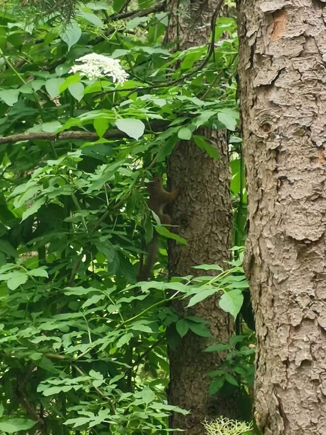 Гостиница Казахстан Ессентуки-216