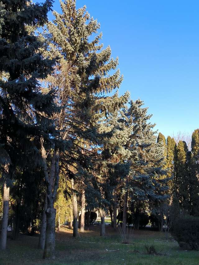 Гостиница Казахстан Ессентуки-225