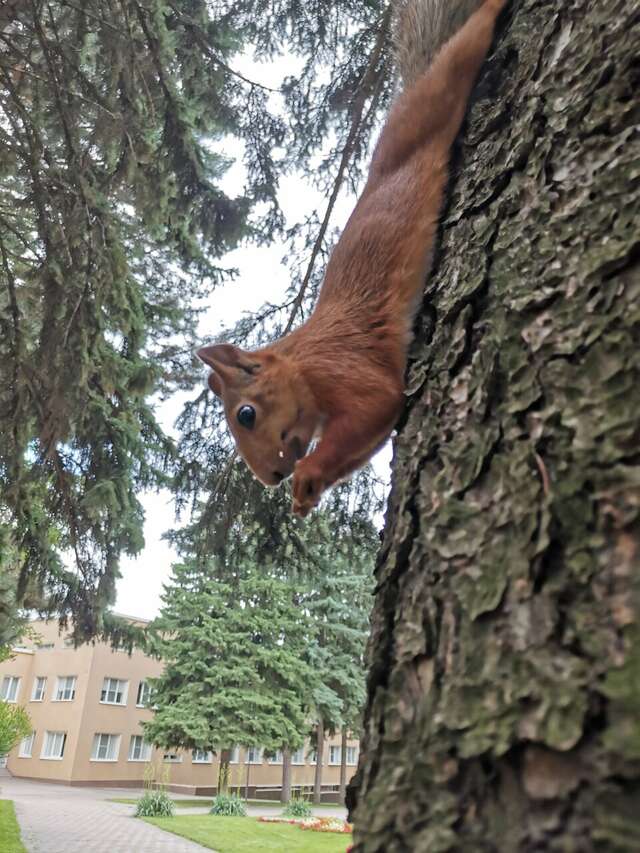 Гостиница Казахстан Ессентуки-207