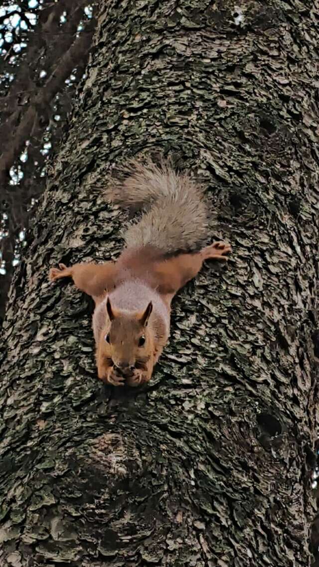 Гостиница Казахстан Ессентуки-196