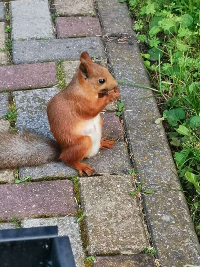 Гостиница Казахстан Ессентуки-222