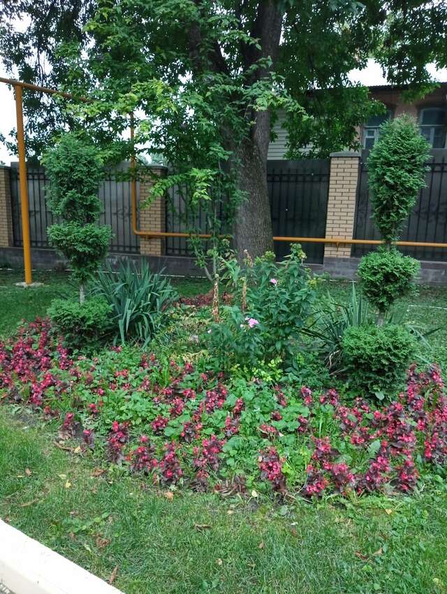 Гостиница Казахстан Ессентуки-211