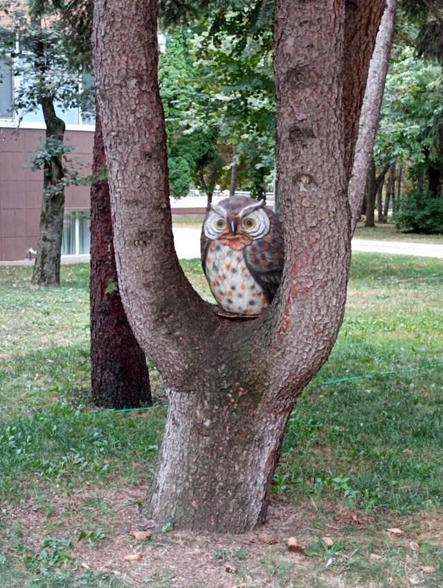 Гостиница Казахстан Ессентуки-180