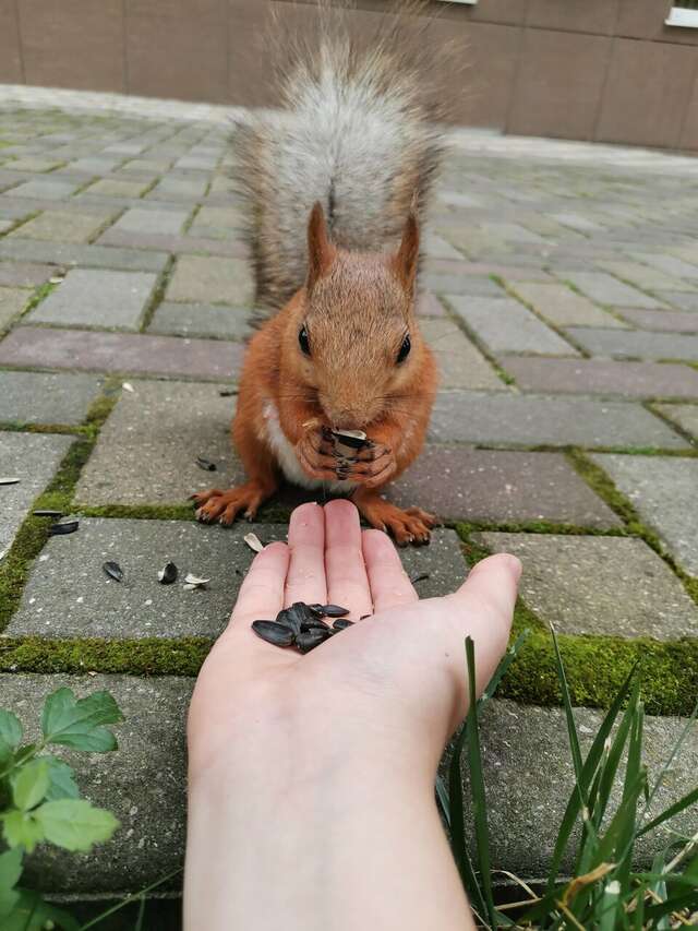 Гостиница Казахстан Ессентуки-201