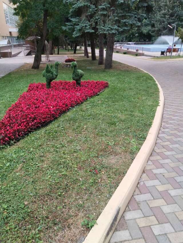 Гостиница Казахстан Ессентуки-213