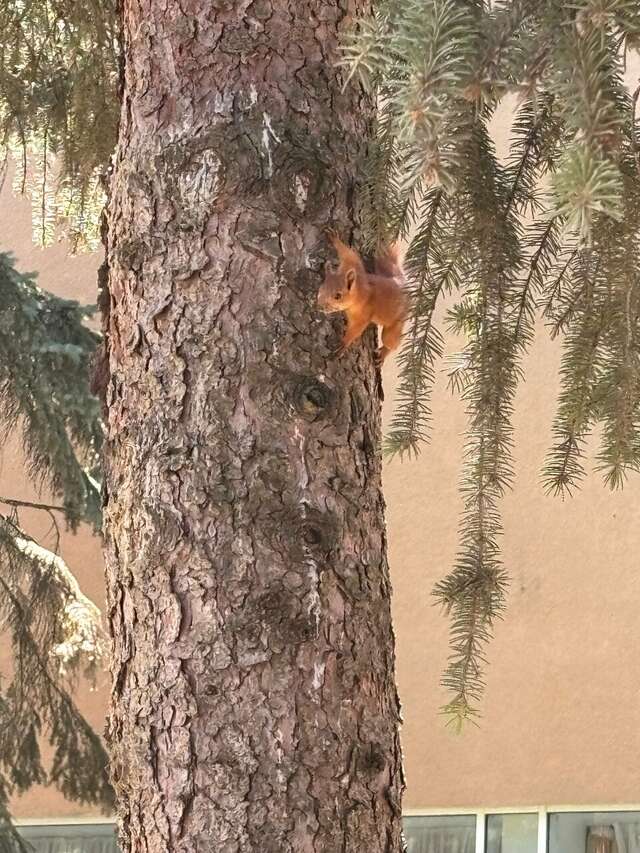 Гостиница Казахстан Ессентуки-205