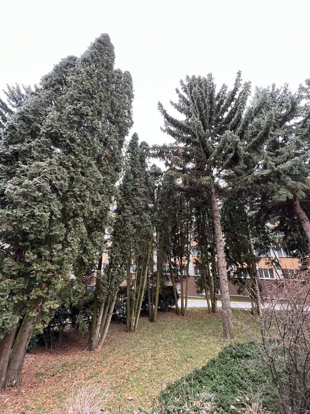 Гостиница Казахстан Ессентуки-39