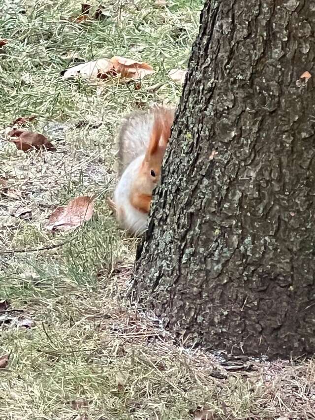 Гостиница Казахстан Ессентуки-102