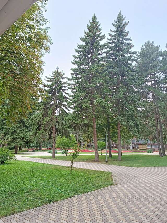 Гостиница Казахстан Ессентуки-210